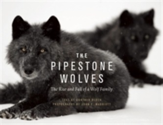 The Pipestone Wolves