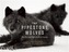 The Pipestone Wolves