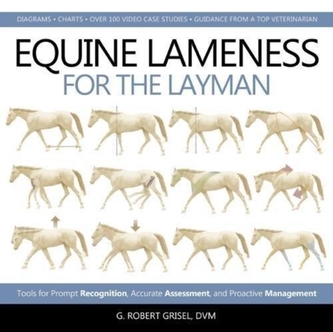 Equine Lameness for the Layman