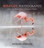 Wildlife Photography