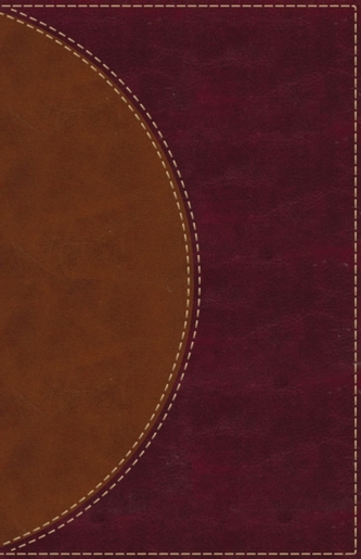 Amplified Reading Bible, Leathersoft, Brown, Indexed
