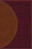 Amplified Reading Bible, Leathersoft, Brown