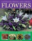 Flower Arranging