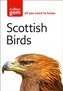 Scottish Birds