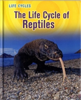 The Life Cycle of Reptiles