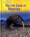 The Life Cycle of Reptiles
