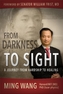 From Darkness to Sight