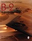 Northrop Grumman B-2 Spirit
