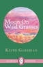 Moon on Wild Grasses