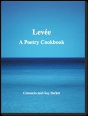 Levee