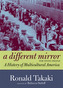 A Different Mirror For Young People