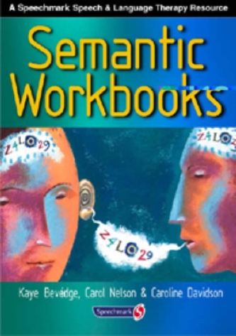 Semantic Workbooks