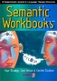 Semantic Workbooks