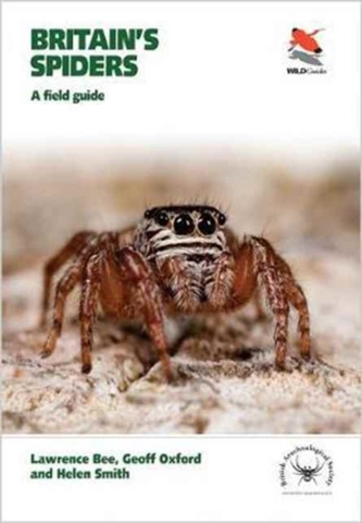 Britain's Spiders