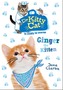Dr KittyCat is Ready to Rescue: Ginger the Kitten