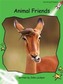 Animal Friends