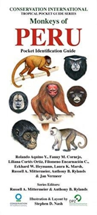 Monkeys of Peru