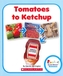 TOMATOES TO KETCHUP