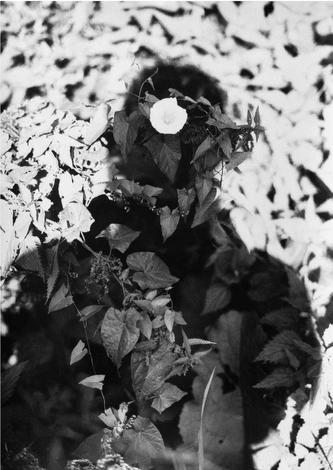 Jochen Lempert