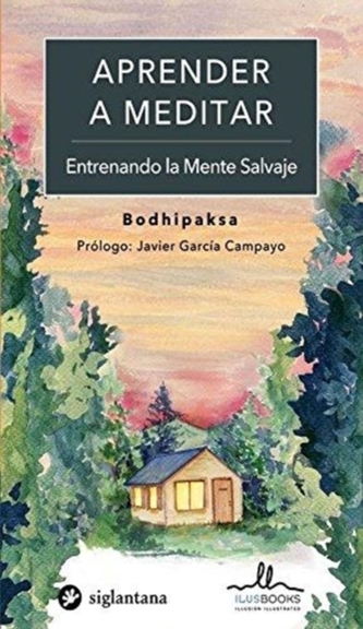 APRENDER A MEDITAR ENTRENANDO LA MENTE