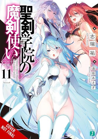 The Demon Sword Master of Excalibur Academy, Vol. 11 (Light Novel)