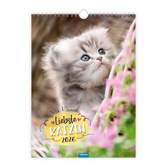 Trötsch Classickalender Liebste Katzen 2026