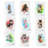 Zeszyt A5/60K kratka PP Joy (9szt) NARCISSUS