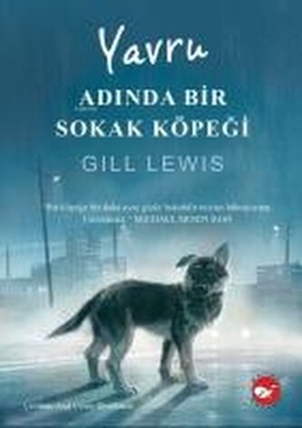 Yavru Adinda Bir Sokak Köpegi