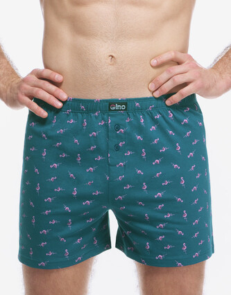 Pánské trenky Gino zelené (75217-DZMDFR) S