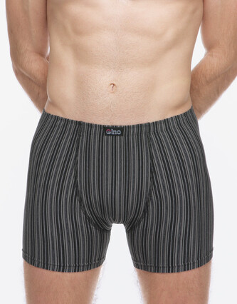 Pánské boxerky Gino vícebarevné (74183-MxCDxG) M