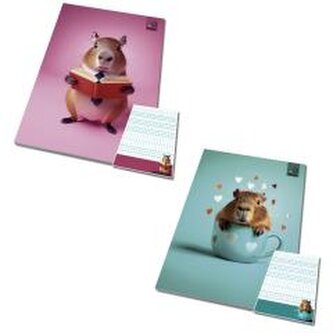 Notes A6/50K kratka poddruk Kapibara (10szt)