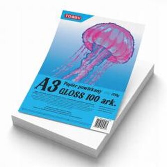 Papier kredowy powlekany A3 350 g/m gloss 100 ark Papier kredowy powlekany A3 350 g/m gloss 100 ark