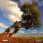 Trees  2026
