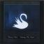 Mazzy Star:  Among My Swan