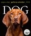 Dog Page-A-Day® Gallery Calendar 2026