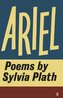 Ariel