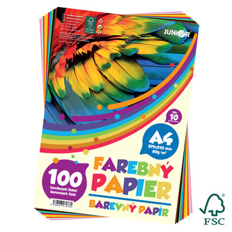 Barevný papír A4 80g 100 listů/10 barev