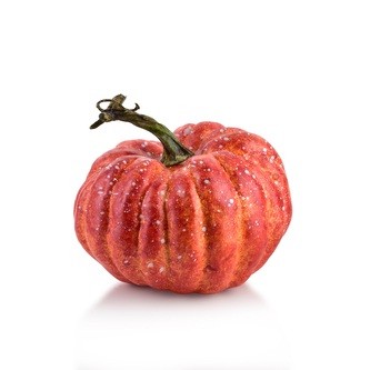 MAVE Figura Dynia 13,5x11cm AW25