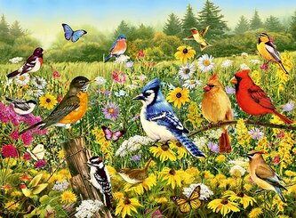 Puzzle 2D: Ptaki 500el