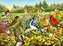 Puzzle 2D: Ptaki 500el