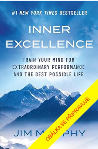 Vnitřní dokonalost