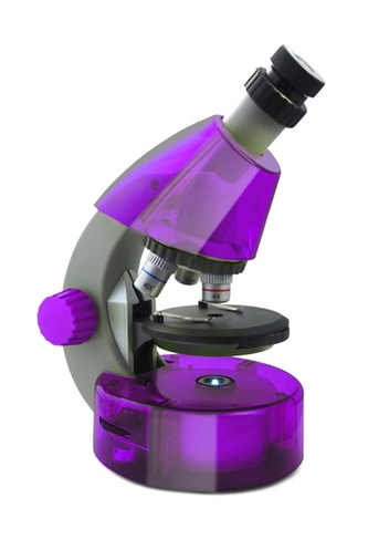 Levenhuk LabZZ M101 Amethyst