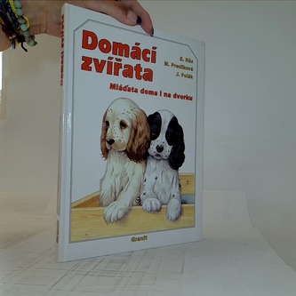 Domácí zvířata - mláďata doma i na dvorku