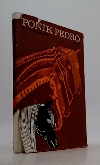 Poník Pedro