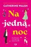 Na jedną noc