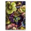 Náčrtník Shkolyaryk Muse Sketch & Note Bloom Dark - A5, čistý, 64 listů