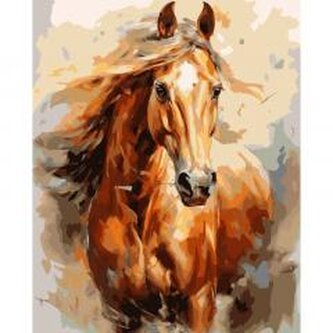 Malowanie po numerach 40x50cm Koń