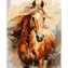 Malowanie po numerach 40x50cm Koń