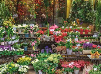 RAVENSBURGER Puzzle Pobřeží Na Pali, Havaj 500 dílků