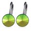 NBS08-SG Ocelové náušnice s krystaly Swarovski® SCARABEUS GREEN